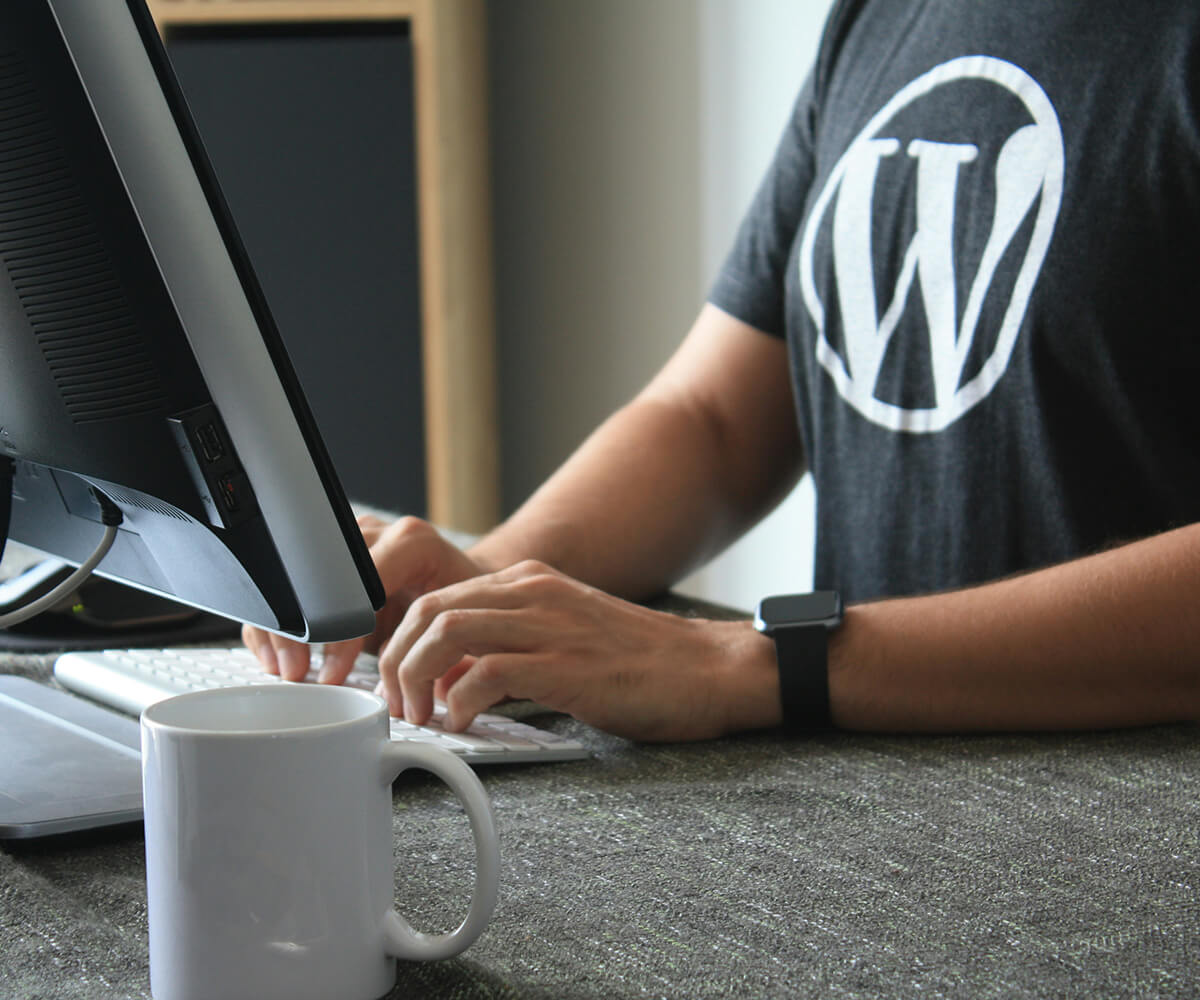 WordPress developer working on computer
